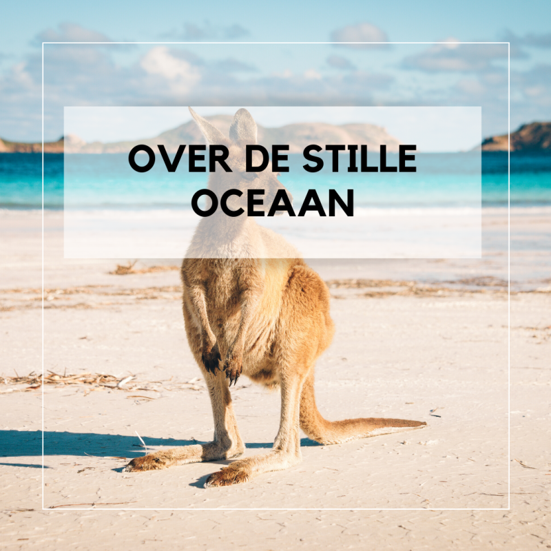 Holland America Line, Cruise