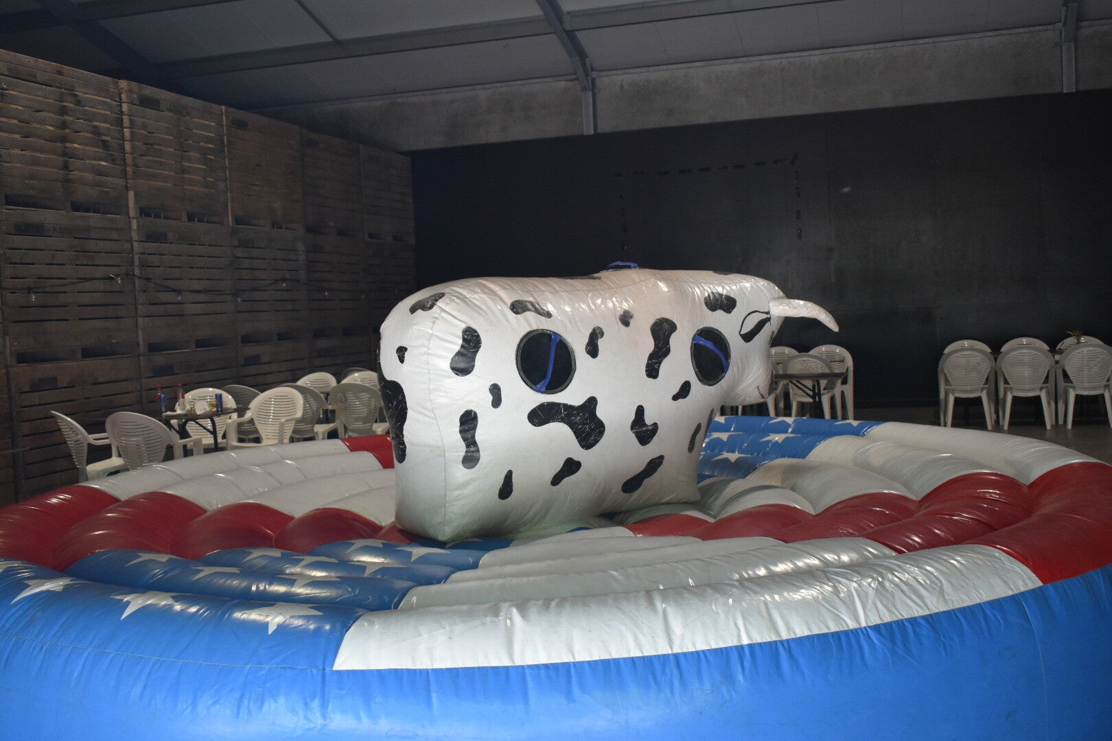 dsc_0668-standard.jpg