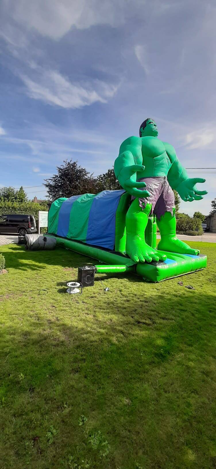 hulk03-standard.jpg