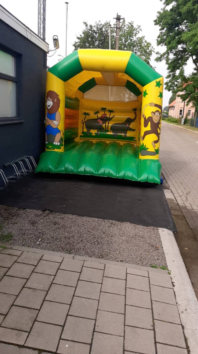 kleinejungle02-standard.jpg