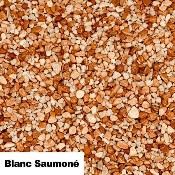 blancsaumone-standard.jpg