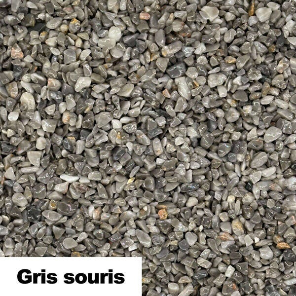 grissouris-standard.jpg
