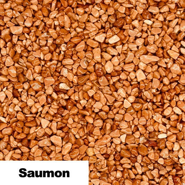 saumon-standard.jpg