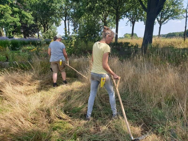 Zeisen en haren 18 juli 2026 comBijn locatieles Westendorp (Achterhoek)