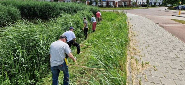 Zeisen en haren 25 juli 2026