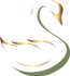 swaenencoutrebaby