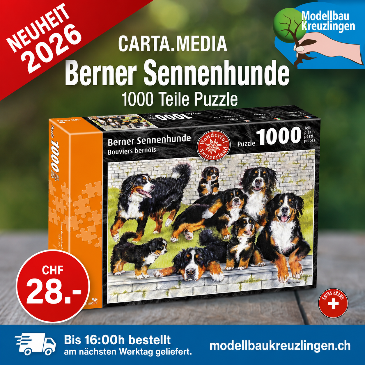 CARTA.MEDIA 7921 Berner Sennenhunde