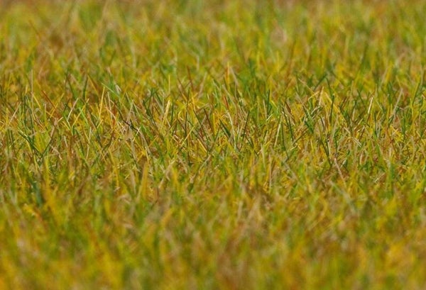 FALLER 180484 PREMIUM Streufasern Wiese, hellgrün, 6 mm, 30 g