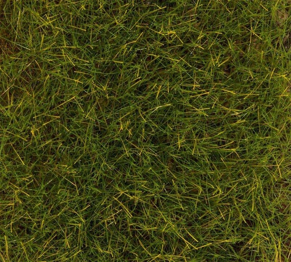 FALLER 170774 H0 PREMIUM Streufasern Sommerwiese, lang, 12 mm, 30 g