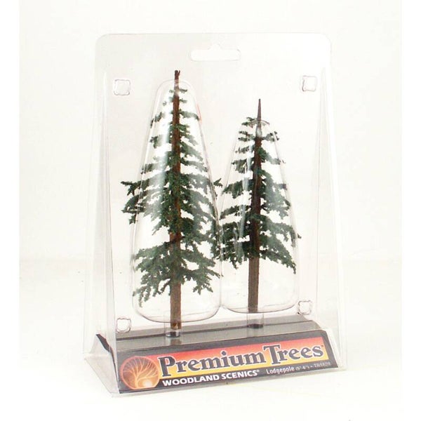 WOODLAND TR1628 5"-6" Prem Lodgepole
