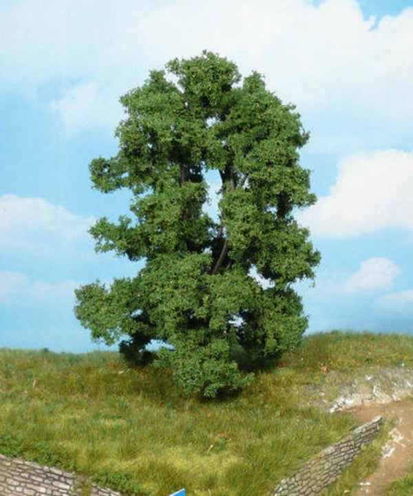 HEKI 1906 1 Esche 15 cm