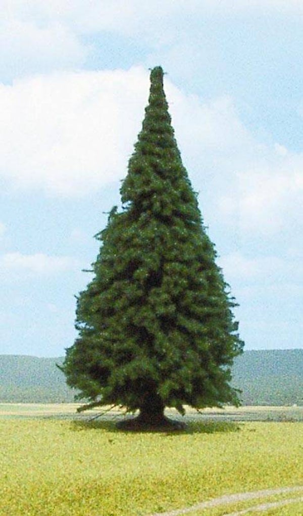 HEKI 2341 1 Tanne 25 cm