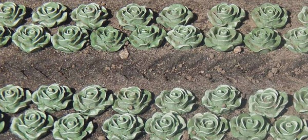 Juweela 24238 - 1:45/50 Kopfsalat, 240x