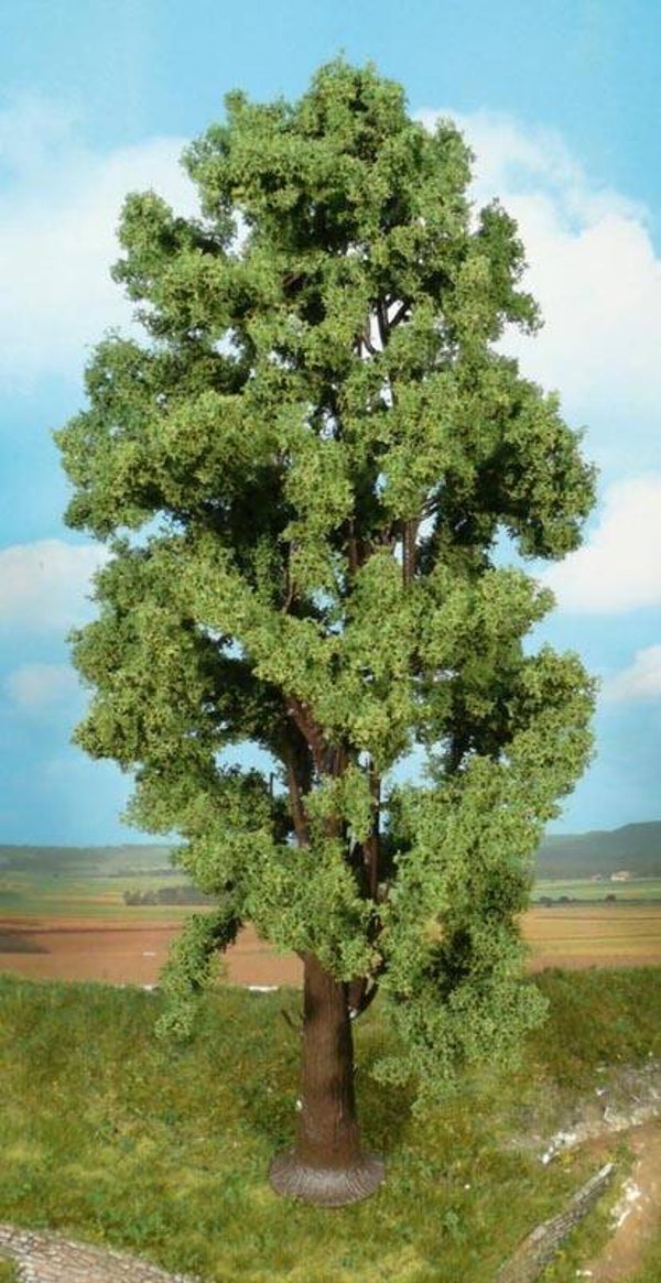 HEKI 1743 1 Bergahorn 35 cm