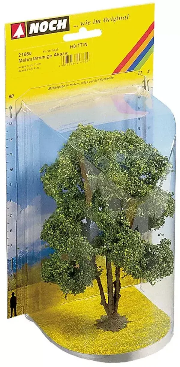 Noch 21660 Akazie