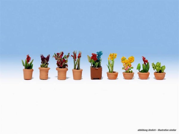 Noch 14080 Zierpflanzen in Blumentöpfen