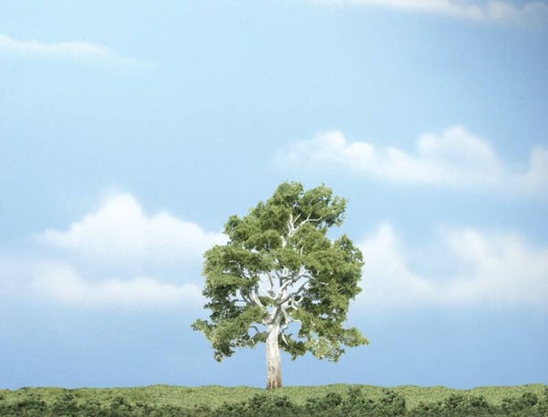 WOODLAND TR1609 Bergahorn