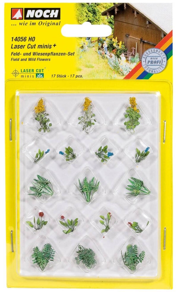 Noch 14056 Feld- und Wiesenpflanzen