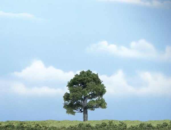 WOODLAND TR1606  Eiche