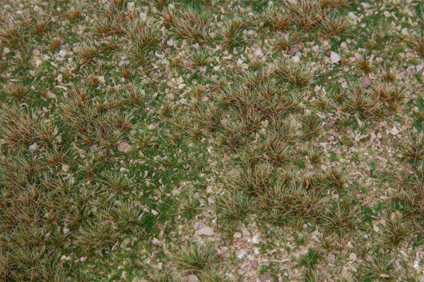 FALLER 180479 PREMIUM Landschafts-Segment Wildkräuterwiese
