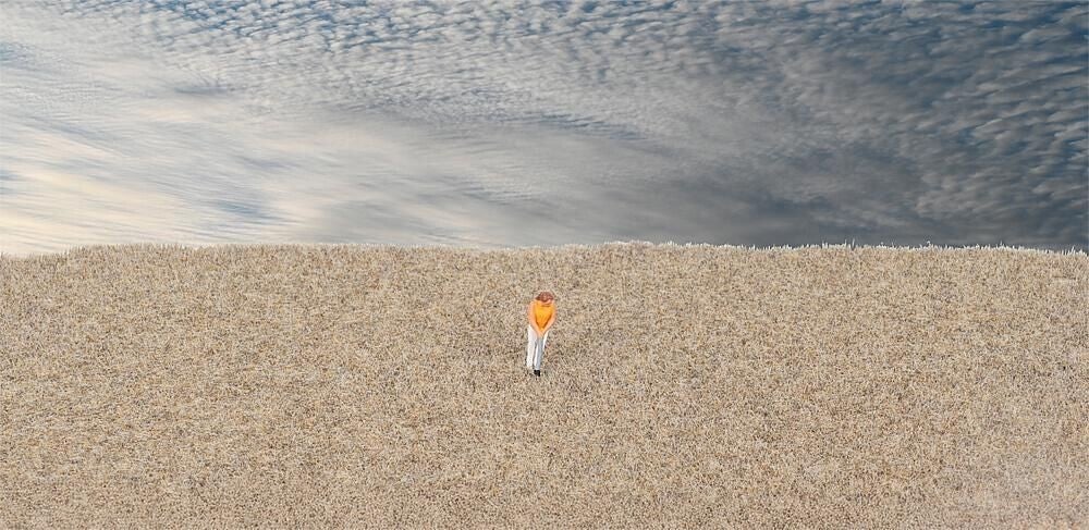 FALLER 170200 Streufasern Wintergras  2-3 mm 35 g