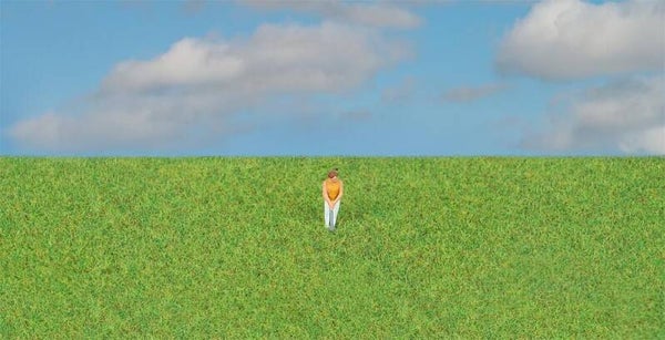 FALLER 170211 Streufasern grasgrün 4 mm 30 g