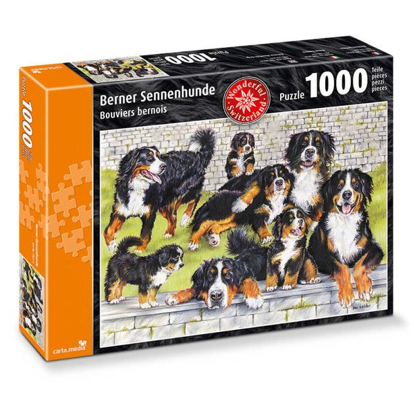 CARTA.MEDIA 7921 Berner Sennenhunde