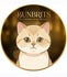 BunBrits Cattery