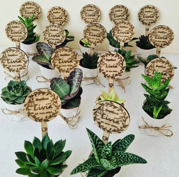 pics à plantes en bois gravés personnalisés