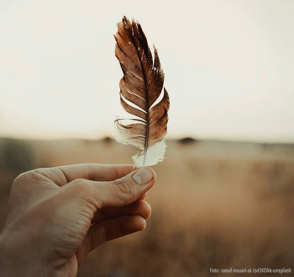 Hochwertiges Jahres-Mentoring: LICHT-Gefährten Club Premium