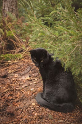 dscf7687.jpg