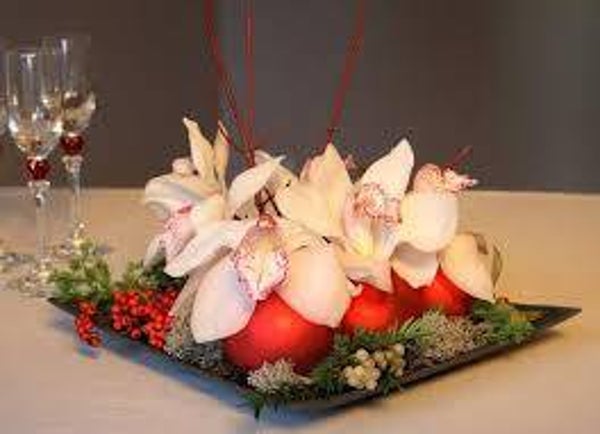 Orichidée pour toi et moi