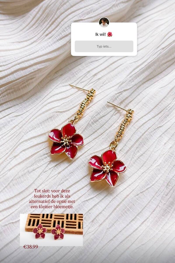 Solène merlot - alternatief
