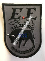 ee2005steg.jpg
