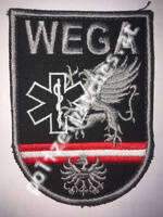 wega2010medic1.jpg