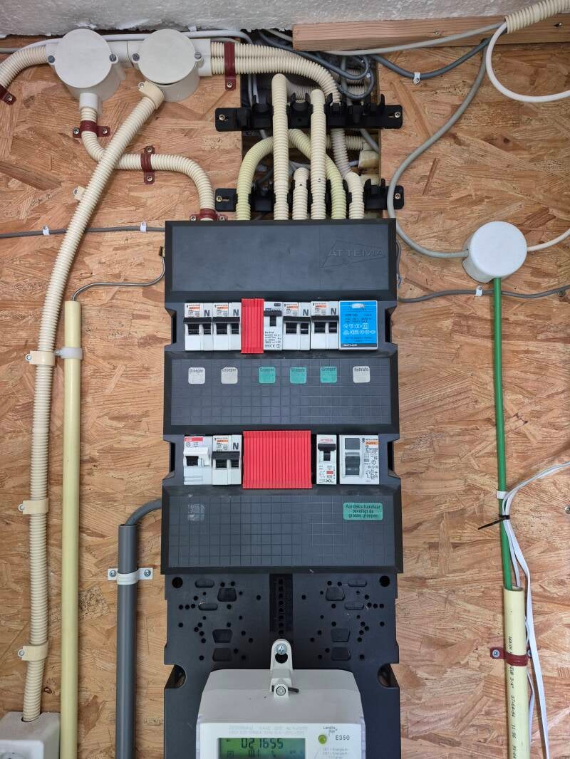 1-standard-n4ly66.jpg