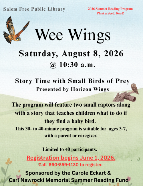wee_wings_0-500x647-standard.png