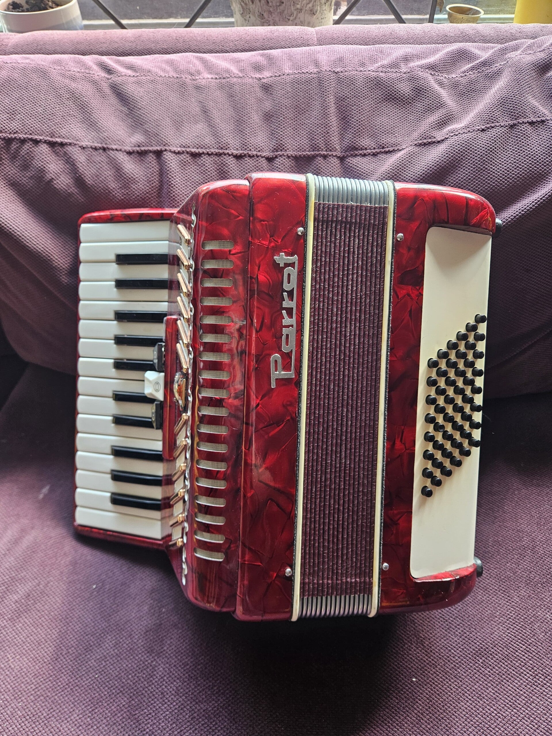 Accordeon van Parrot