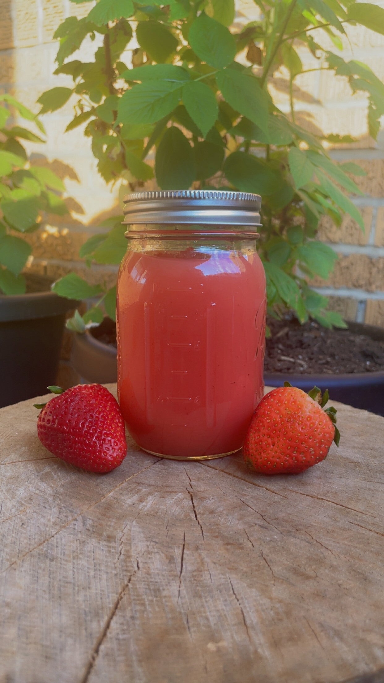 Irish Sea Moss Gel Strawberry Infused 8 -oz Jar