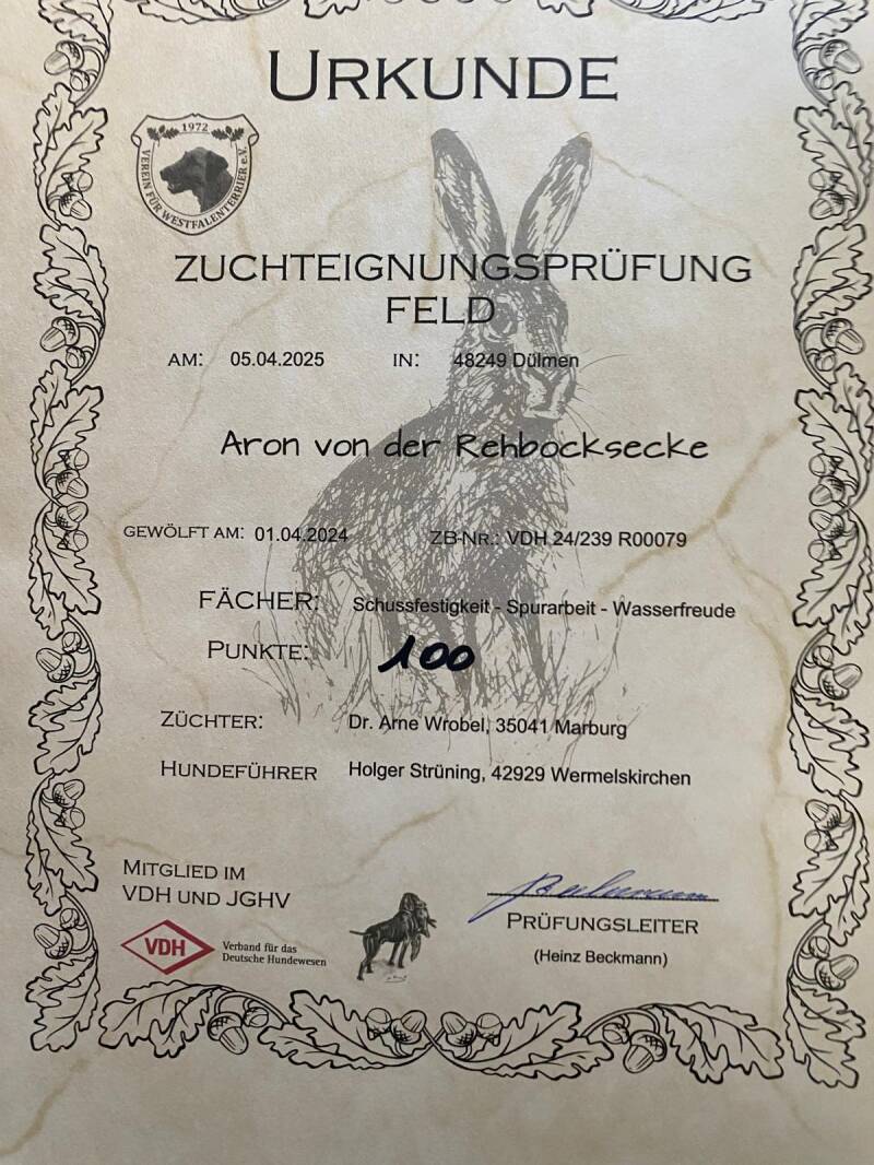 urkund Aron Zuchteignung