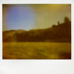 polaroid008.jpg