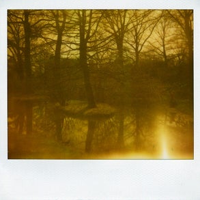 botanical001.jpg
