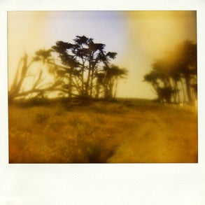 polaroid009.jpg