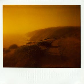 polaroid011.jpg