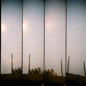 13020007jpg.jpg