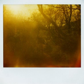 polaroid005.jpg