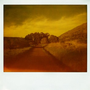 polaroid001.jpg