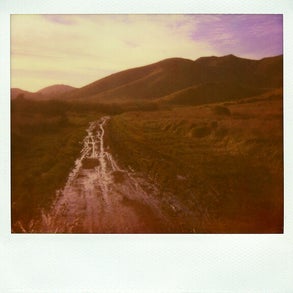 path001.jpg