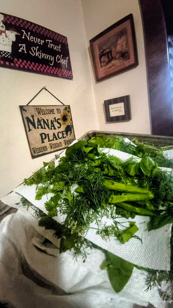 Fresh dehydrated Herbs