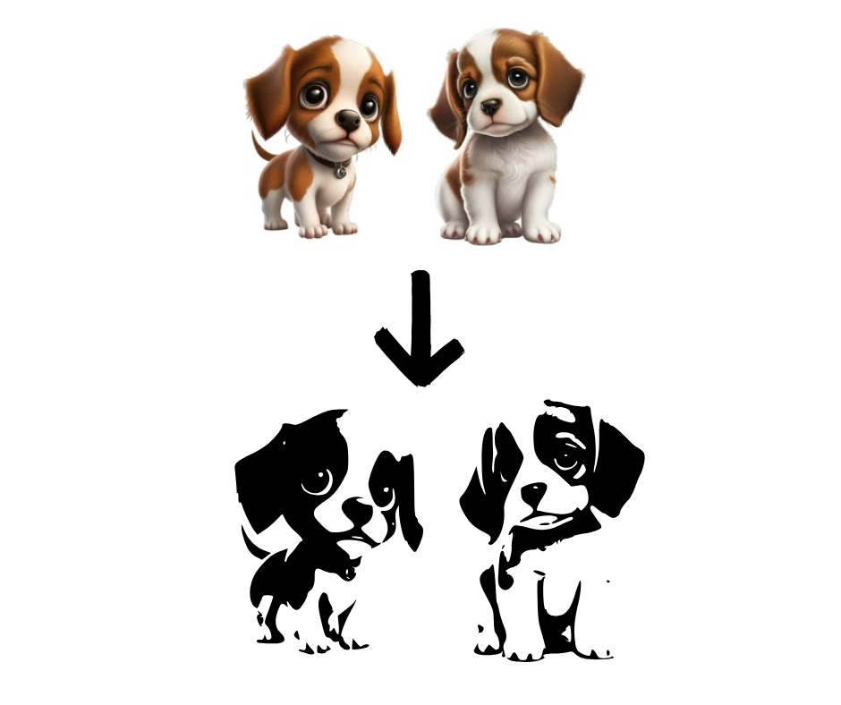 Stenska grafika po naročilu – Enobarvna stenska dekoracija